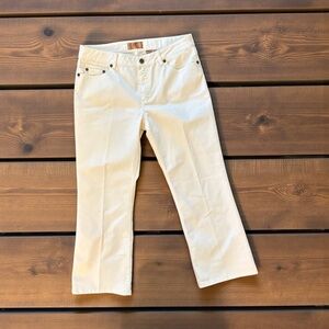Dana Buchman Cream Boot Cut Pants